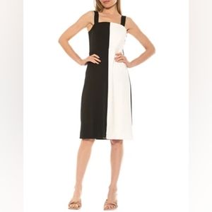 NWT Alexia Admor - Marissa Two Tone Midi